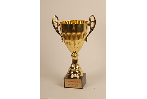 中国asiagame工程协会asiagame金杯树模工程