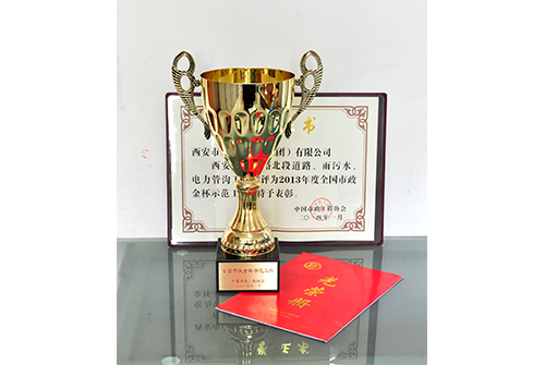 天下asiagame金杯树模工程