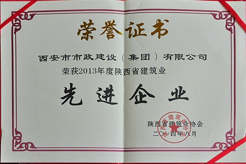 陕西省修建协会 先进企业