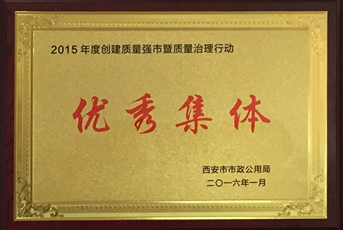 质量治理行动优异整体