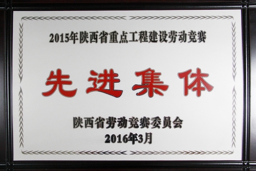 陕西省重点工程建设劳动竞赛先进整体
