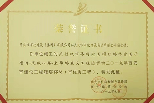 雁塔杯奖-凤八立交